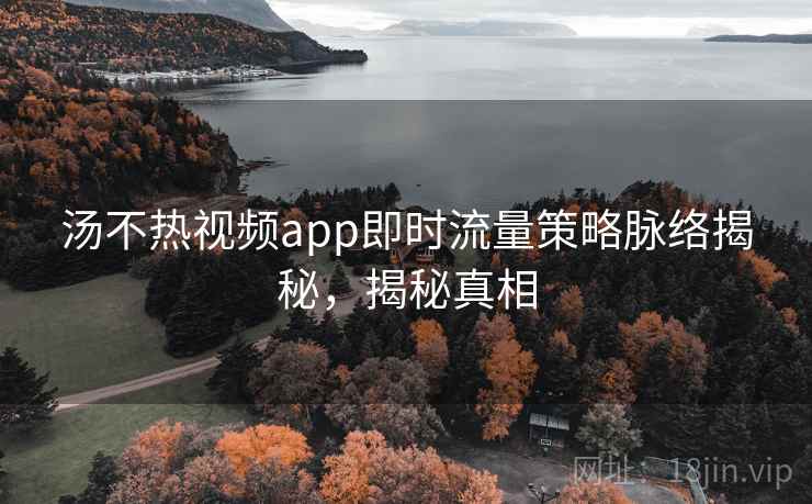 汤不热视频app即时流量策略脉络揭秘,揭秘真相 汤不热视频app即时流量策略脉络揭秘,揭秘真相